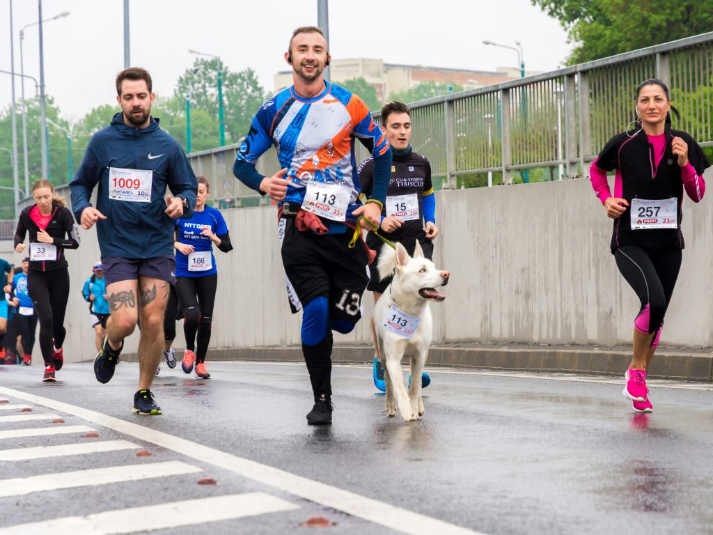Meia Maratona de Viseu