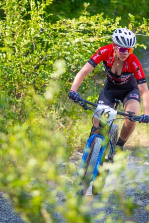 TRAVELS IN MY LAND 2025