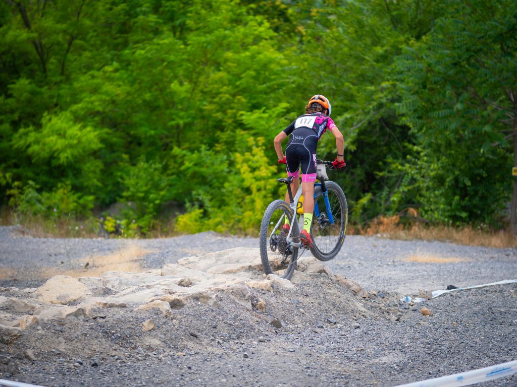 TRAVELS IN MY LAND 2025